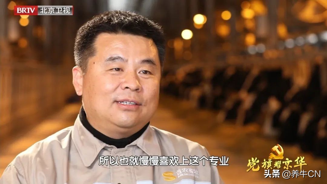 北京卫视｜奶牛育种届的“牛爸爸”麻柱