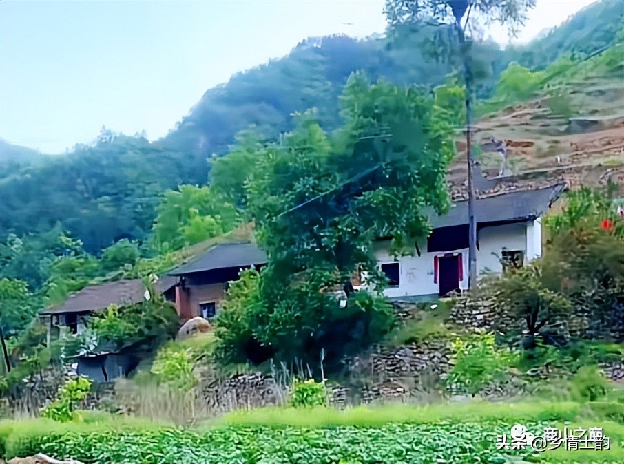 燚镜像:丹凤,我深深眷恋的地方