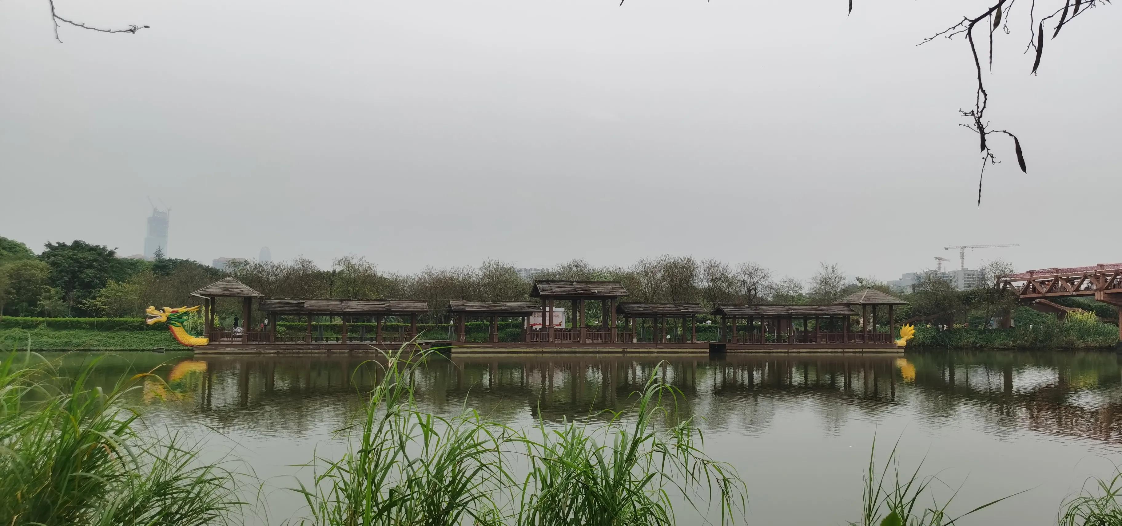 海珠湖湿地公园观鸟,海珠湖湿地公园地图