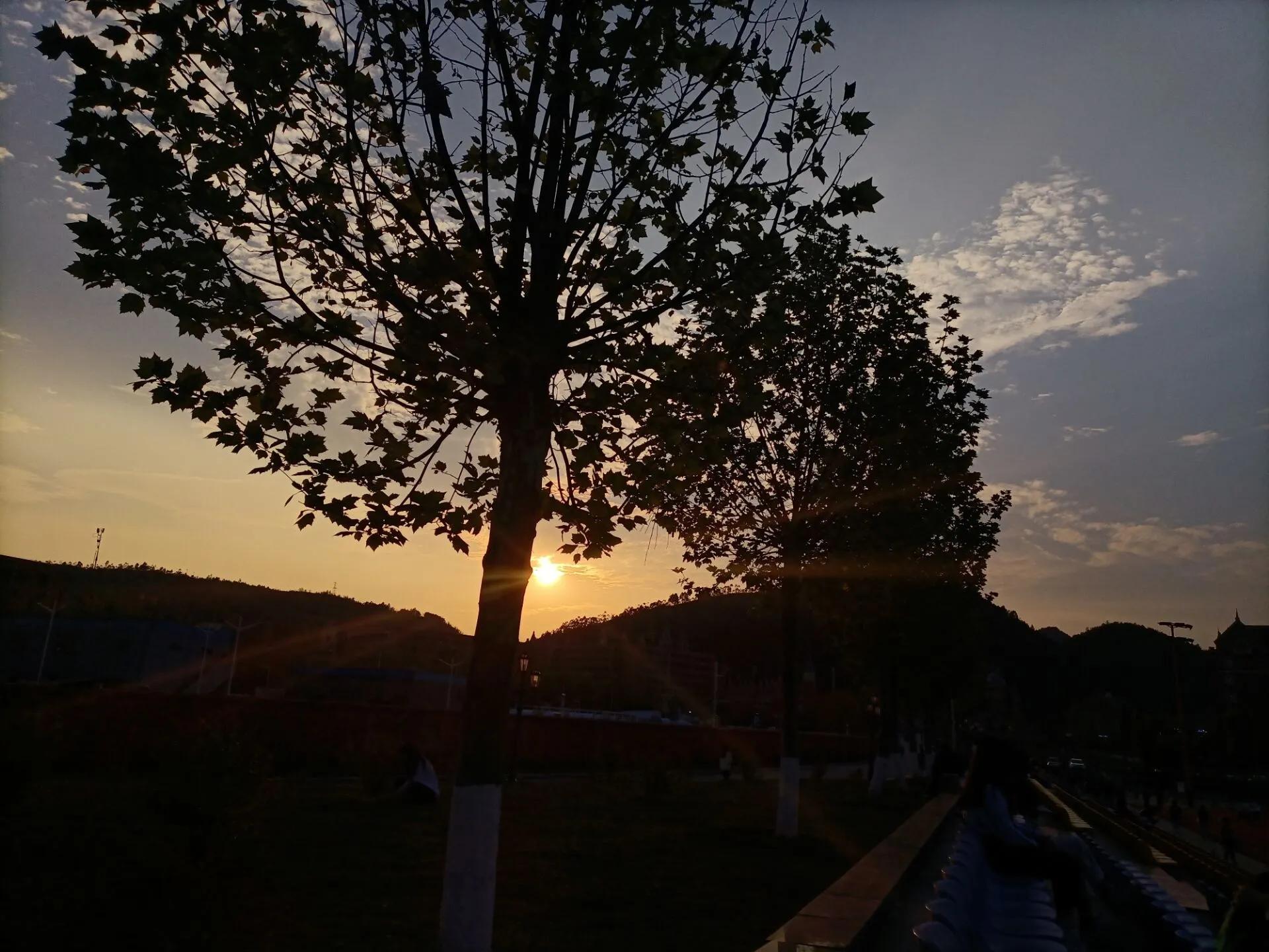 春意渐浓本周气温,春意渐浓时