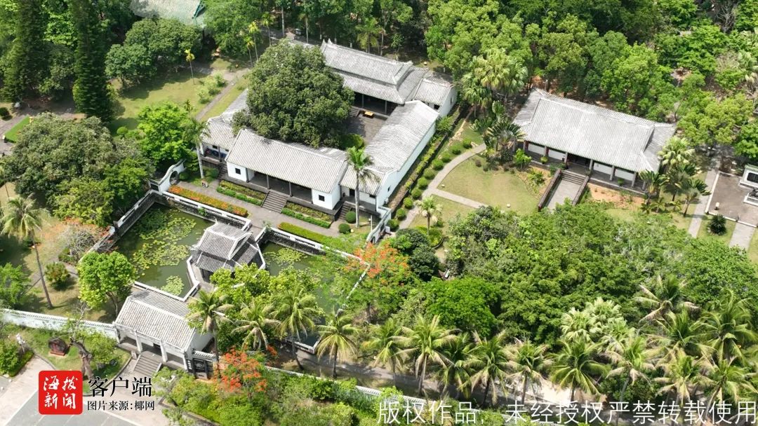 蹲点报道！玉蕊花开香七里，儋州千年古村成网红打卡地，村民吃上“旅游饭”