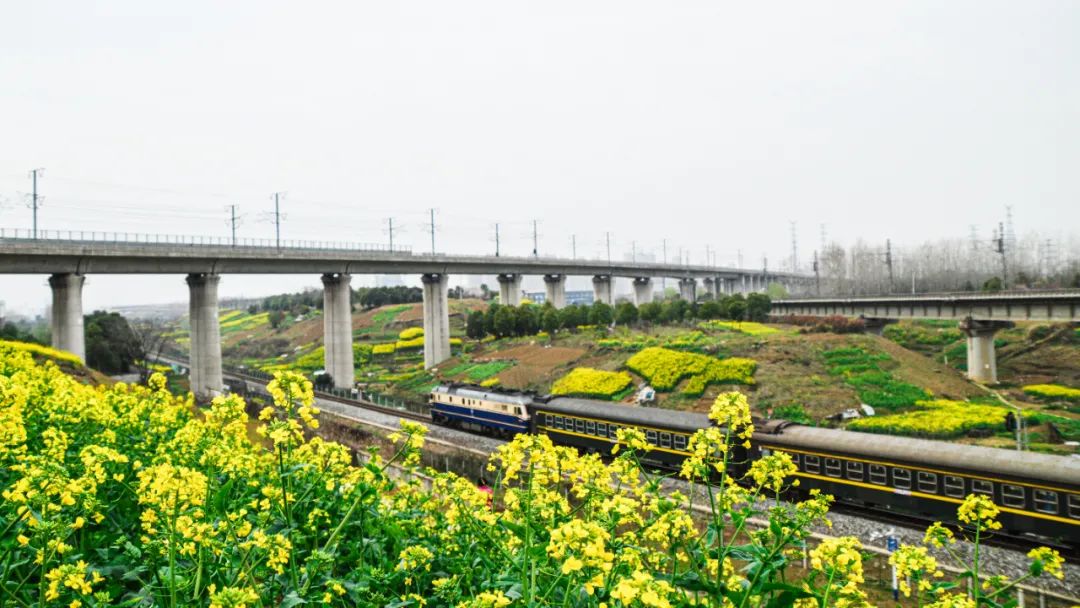 再见k歌翻唱,再见k歌伴奏