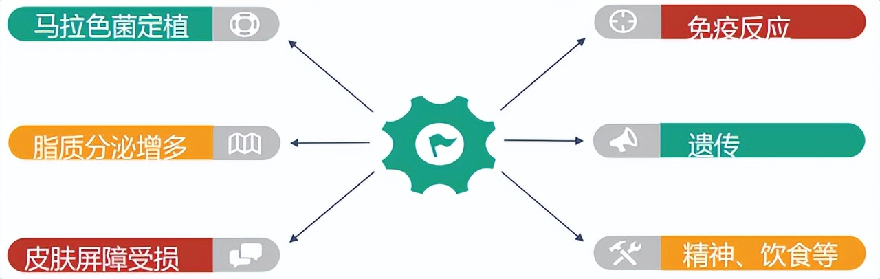 脂溢性皮炎吃什么维生素,头皮脂溢性皮炎用什么药