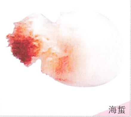 海蜇要怎么预防被蜇,海蜇蜇伤了特别痒疙瘩越来越多