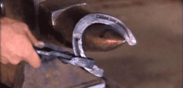 马为什么要钉马蹄铁,给马钉马蹄铁的视频