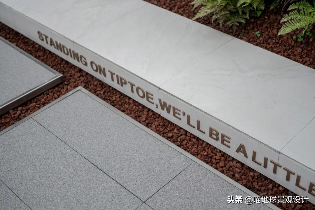 庭院景观设计细节处理视频,庭院设计中的细节处理