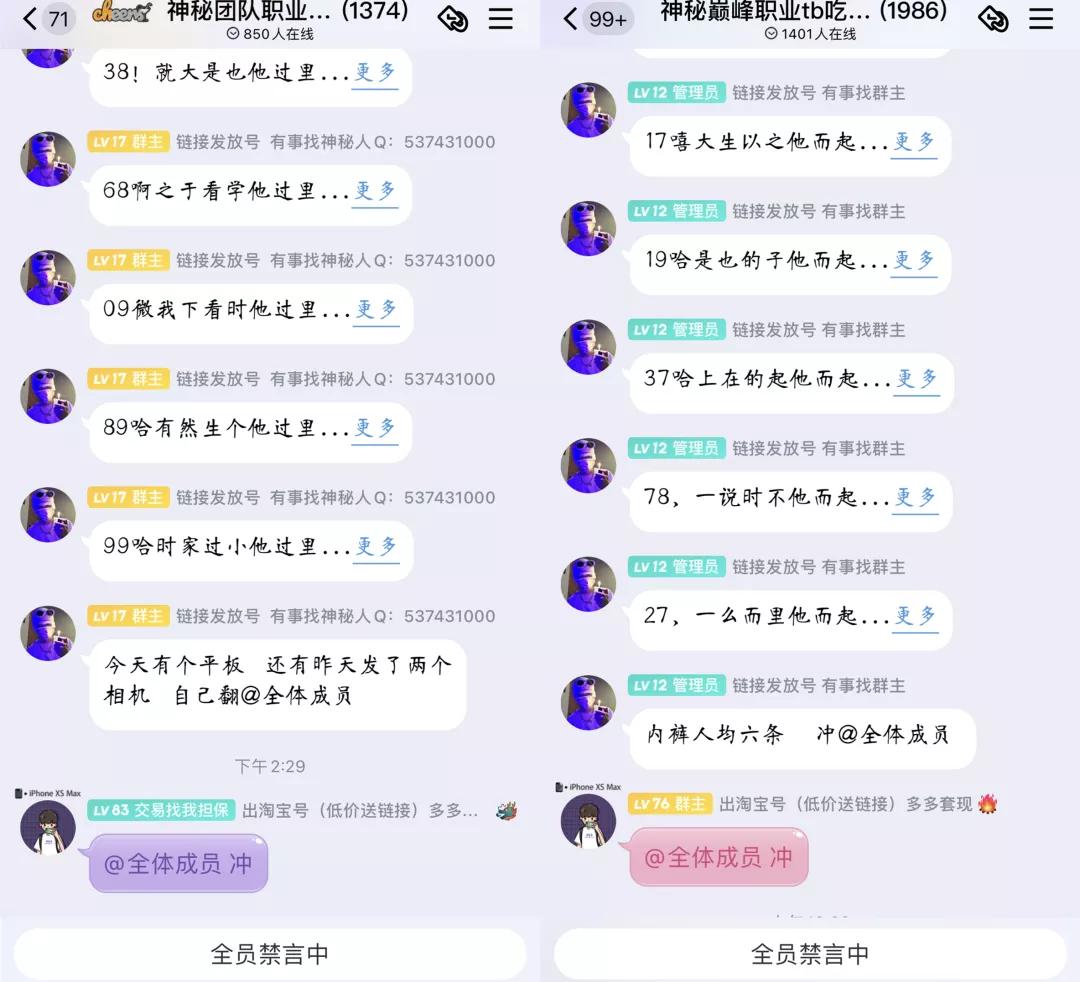 19岁男生成立8个打假群，月入十万，已摧毁多个店铺链接