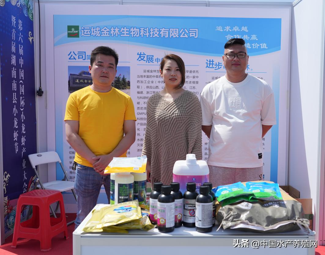 2023年南县小龙虾价格行情,南县小龙虾价格报价