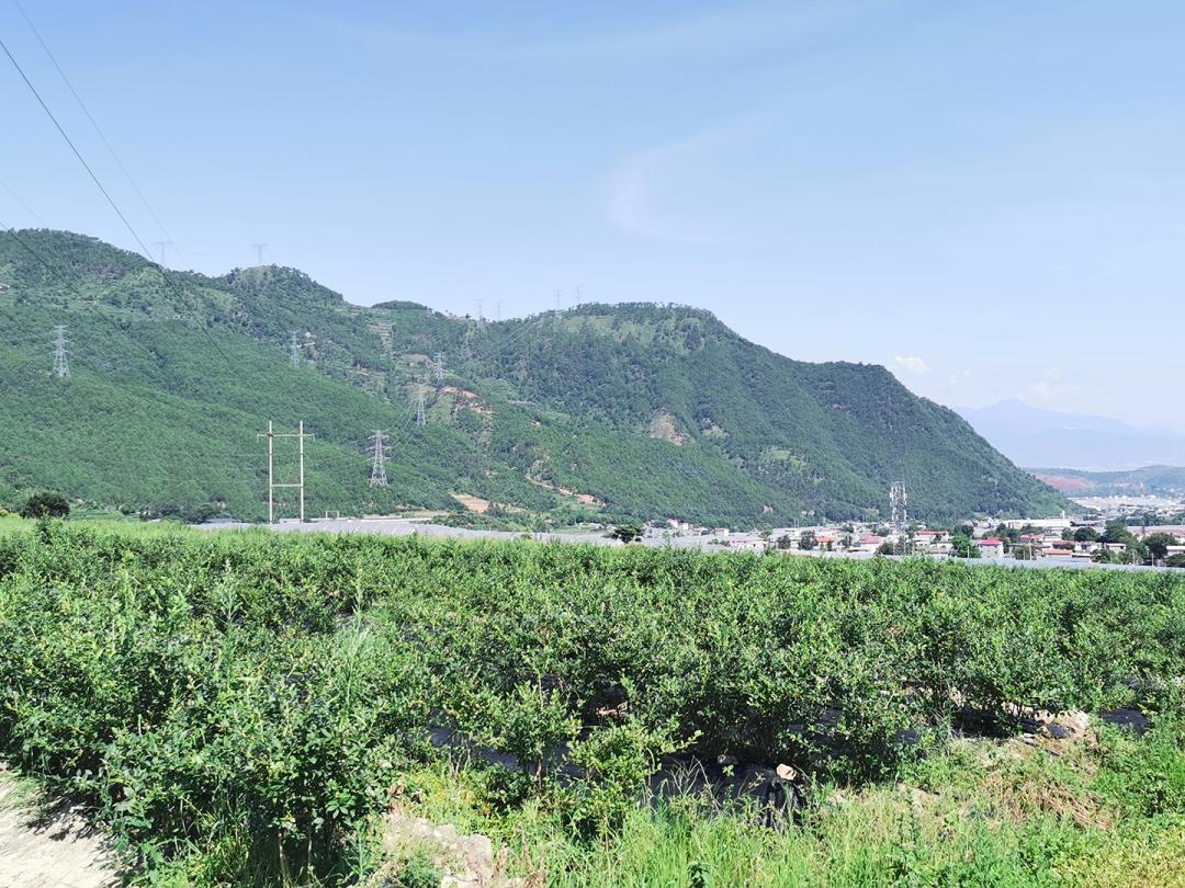 将乡村振兴规划变为美好现实,乡村振兴战略的美好愿景是哪些