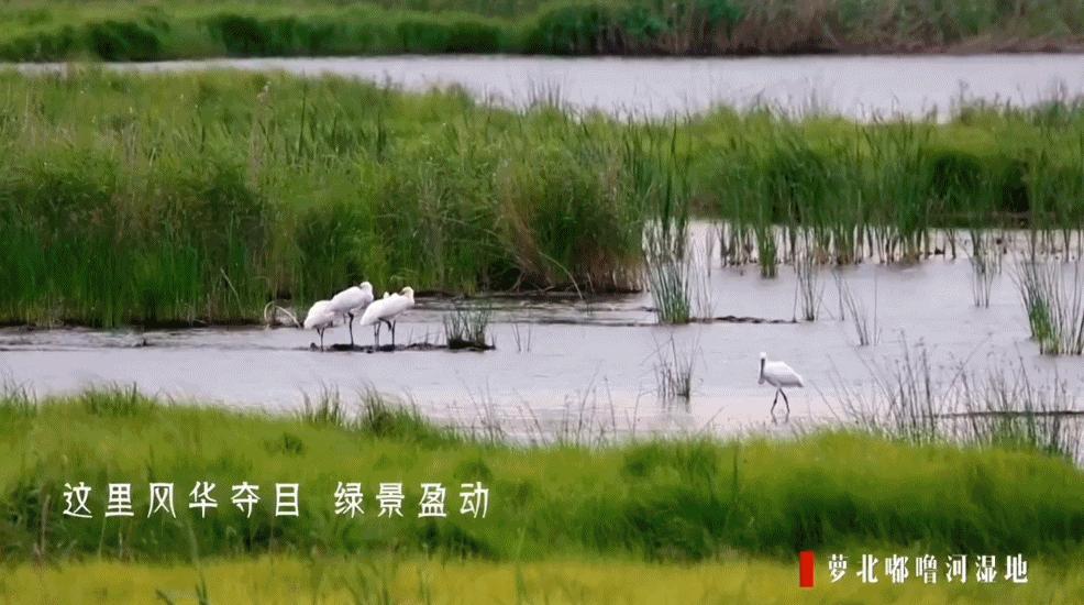 50块钱逛遍大连,50块钱逛沈阳