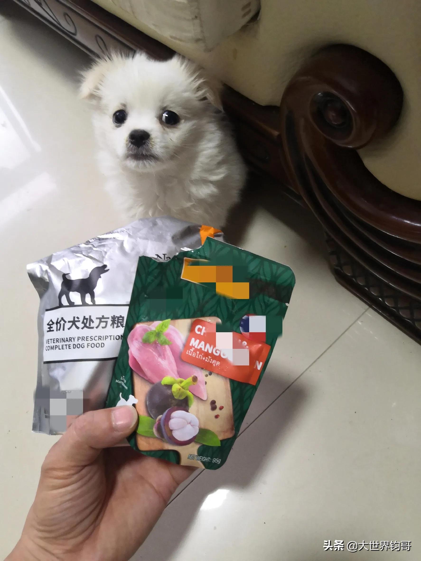 法斗幼犬得了细小治疗成功率多少,我家狗狗得了细小突然咬我一下
