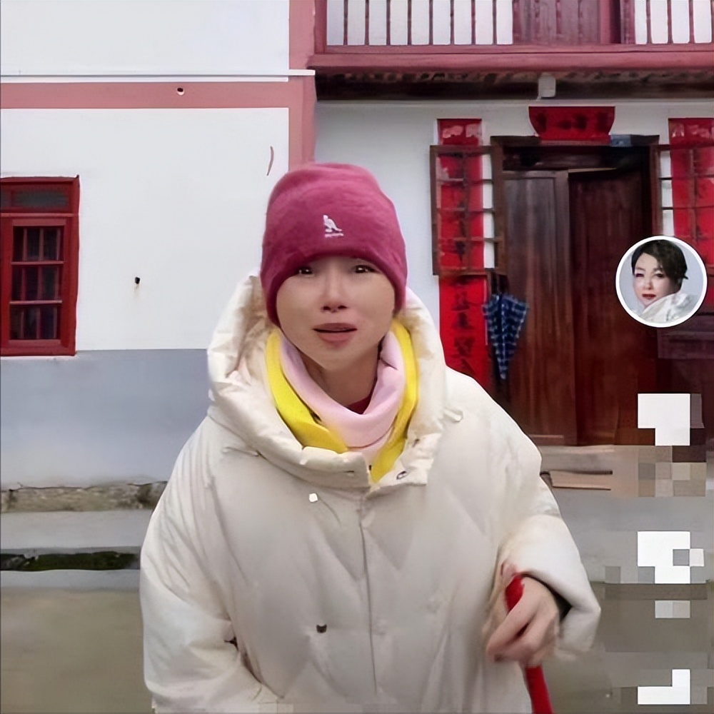 港星摆摊卖鱼蛋,两港星在大陆买鱼蛋