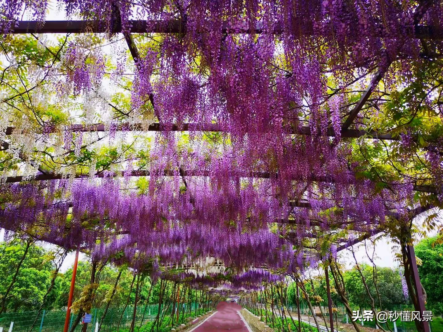 成都又潮又老的打卡胜地,现在成都周边网红景点一日游美景