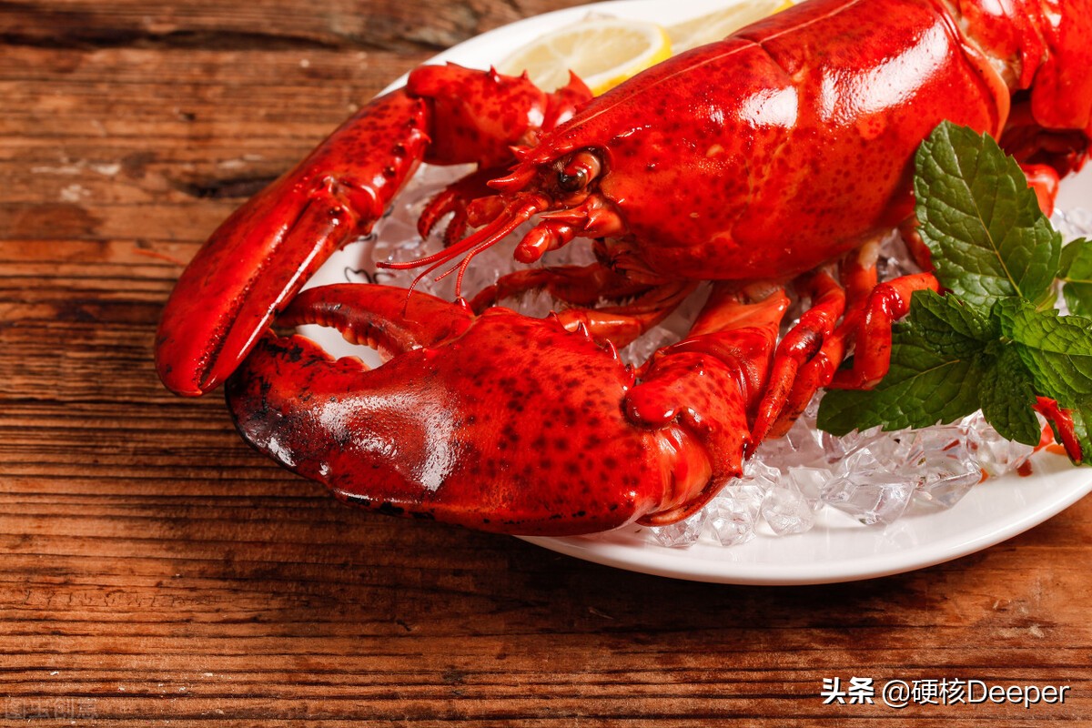 为什么人类分娩比其他动物更痛苦,动物分娩和人类分娩是一样痛苦吗