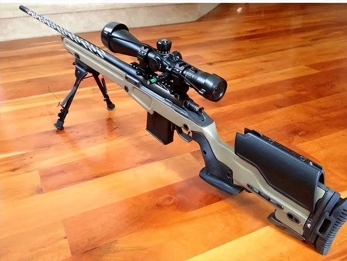 台湾再次出丑，蔡英文安保团队购买*击狙**步枪，却遭英国拒绝出口