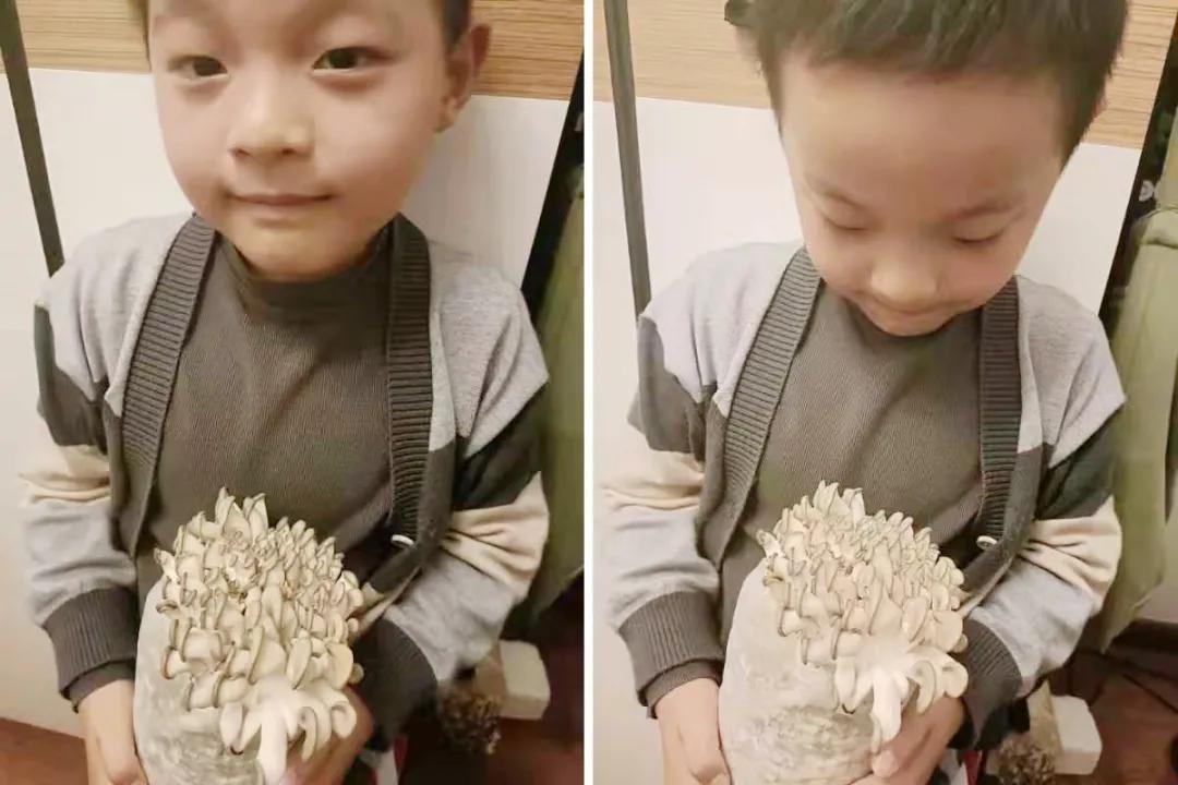 通过孵蛋学到了什么,第一次尝试孵蛋