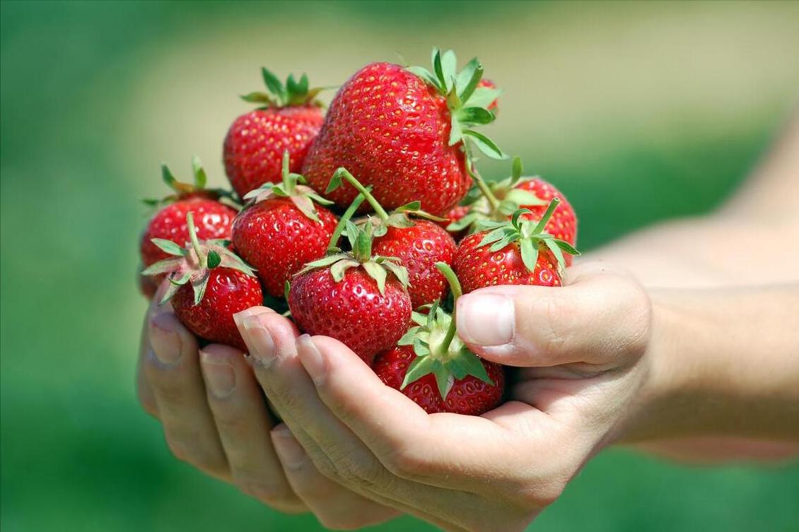 农村冷门生意赚钱项目,适合农村小本投资的项目