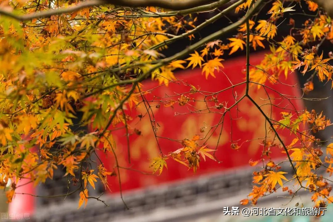 初秋秋色,9月最美风景