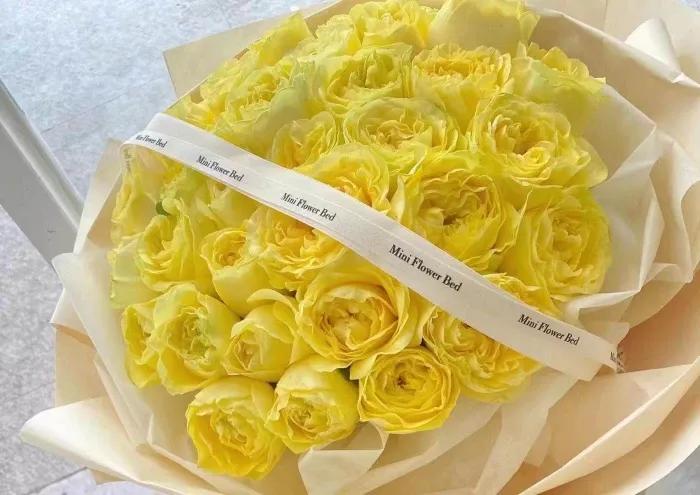 求婚送什么颜色的玫瑰花比较合适,玫瑰花的外形特点和颜色的特点