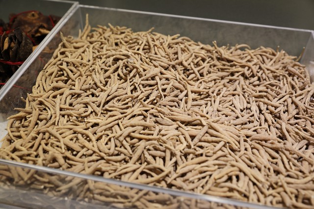 野生孩儿参,孩儿参品种