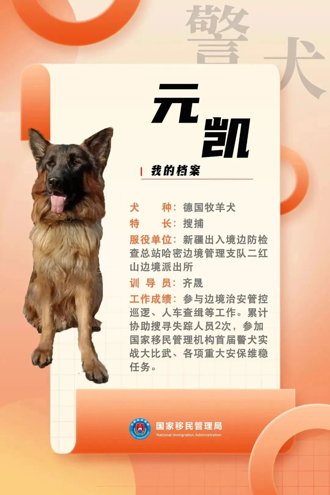 功勋犬天狼,功勋犬挑战不可能