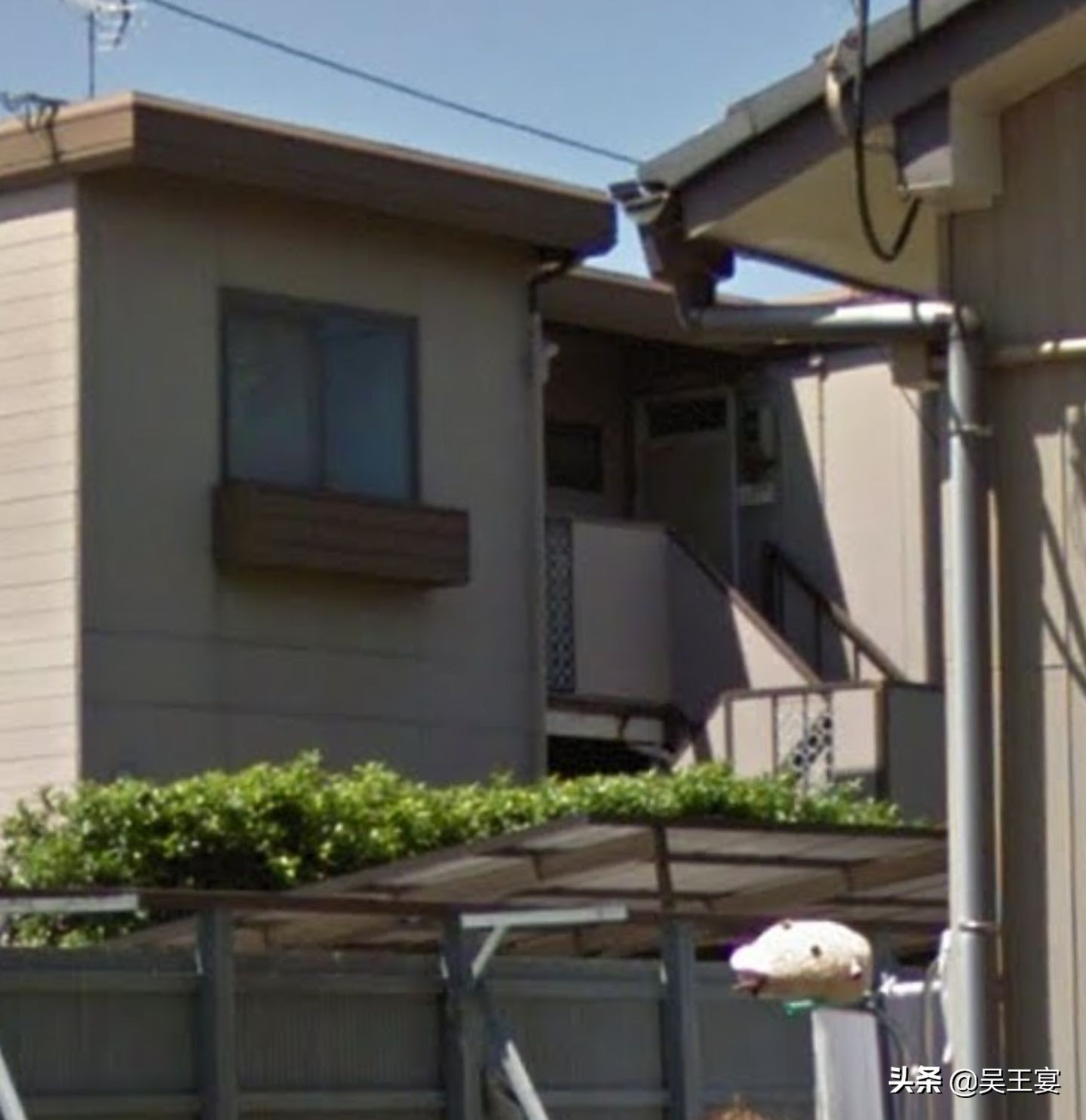 名古屋孕妇剖腹取婴杀人事件,解密日本孕妇凶杀案