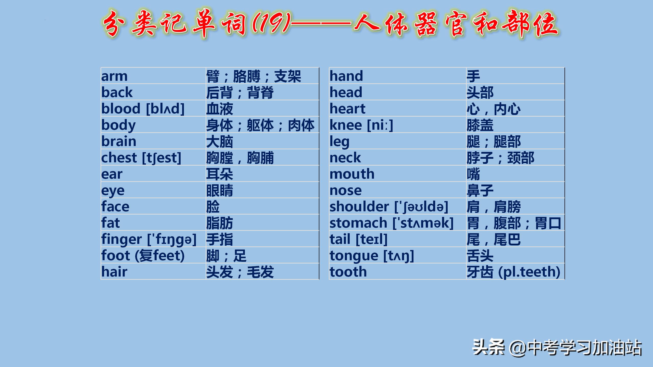 初中英语考纲词汇手册怎么背,初中英语1600单词分类速记