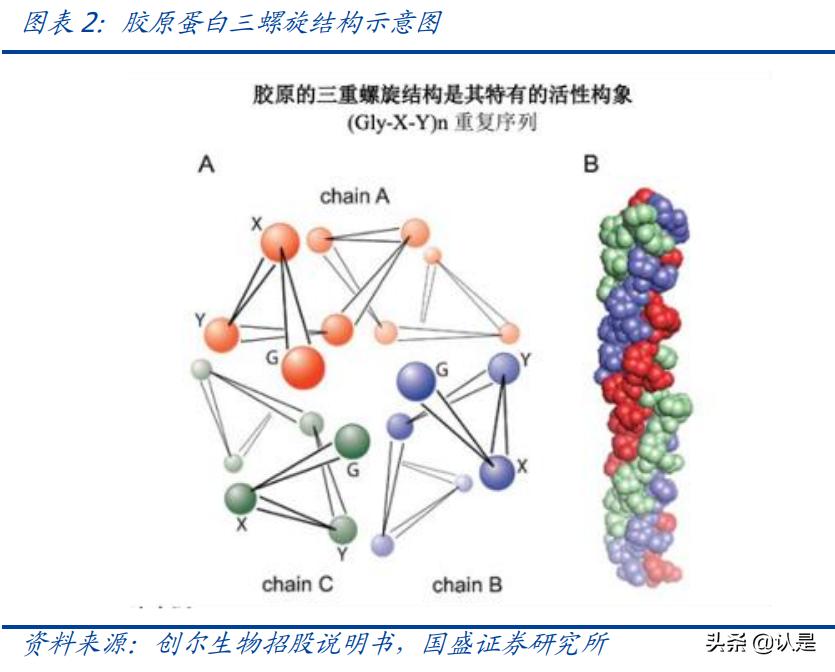 医美胶原蛋白近期消息,医美胶原蛋白再生