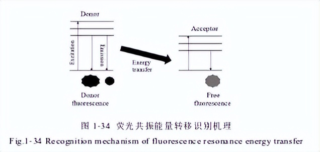 荧光探针的识别机理：ICT、PET等有什么区别？