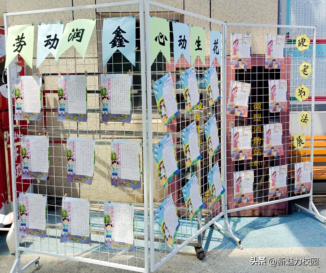 劳动润“鑫”“鑫”动生花——鑫园小学举行劳动教育专场活动