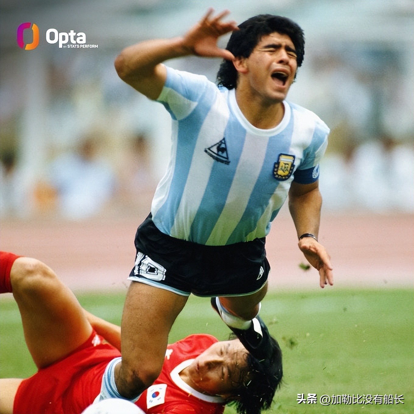 梅西传射助大巴黎逆转欧冠对手,梅西7场10球率队取队史首冠