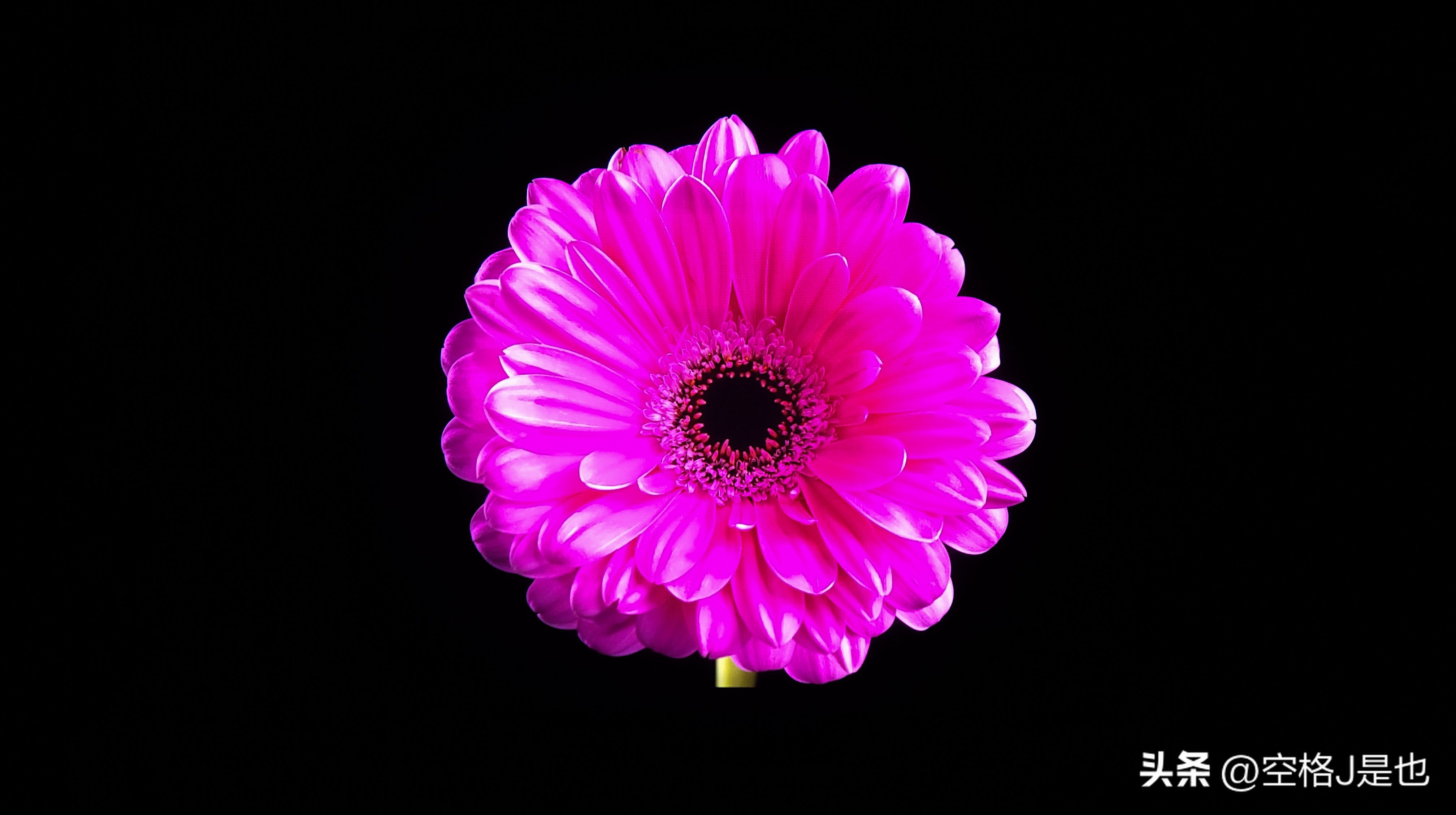 随身IMAX私人影院体验GoovisG3Max深度测评