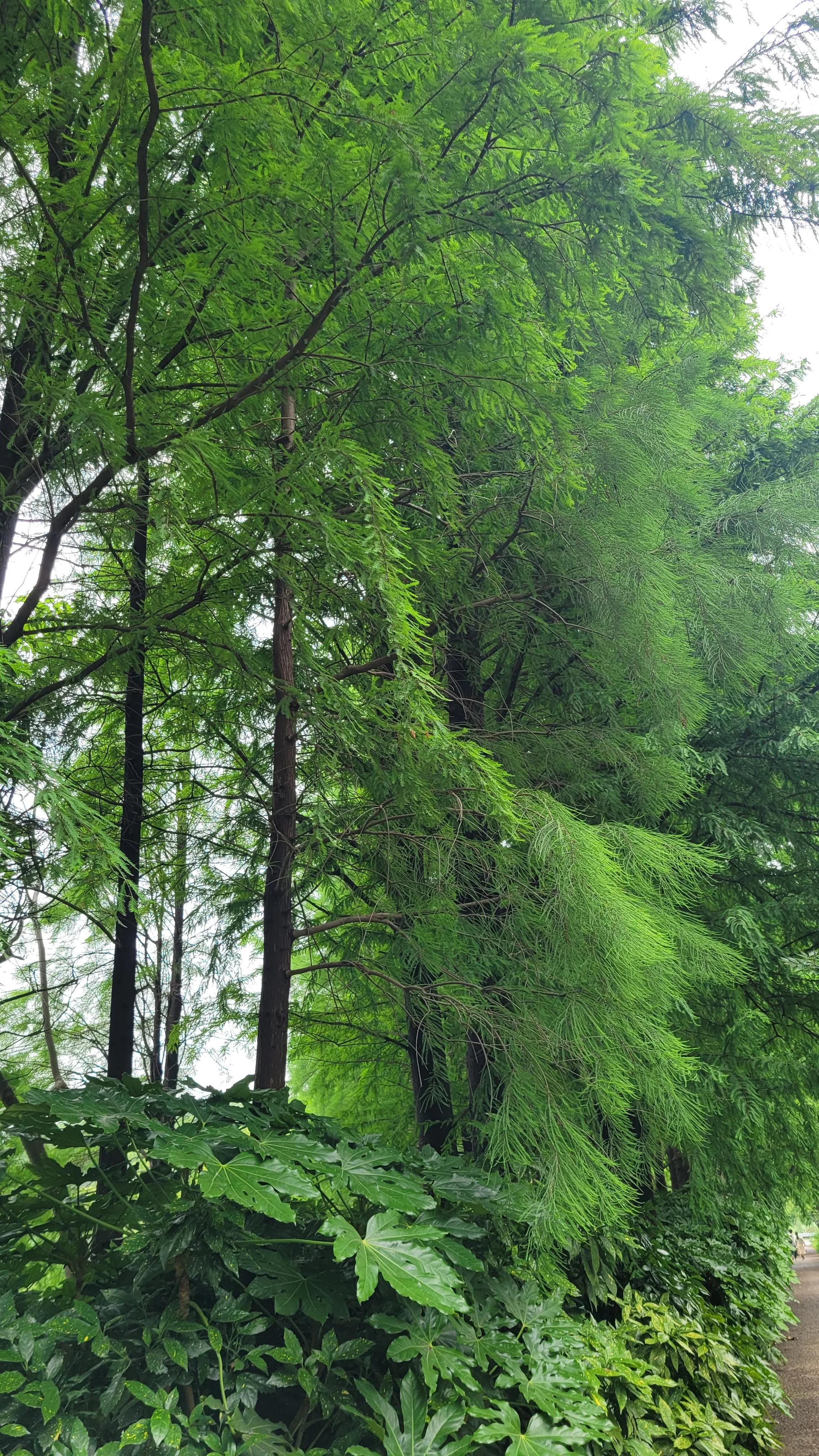 无锡太湖十八湾起点,无锡太湖十八湾在哪