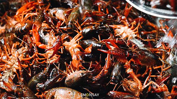 “完了，这店又要被抢破头了！”