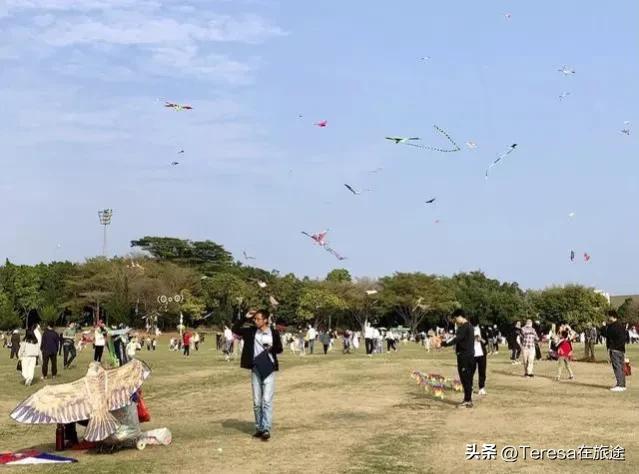 深圳莲花山最好的景区,旅行深圳莲花山公园春天风景