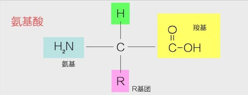 陨石降临地球开启了基因进化之旅,人类进化与外星陨石