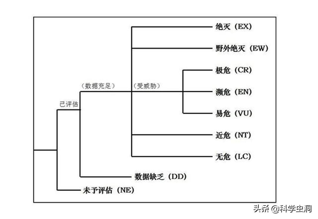 天津一女子买鸟头吊坠被判刑10年,天津女子买吊坠获刑十年