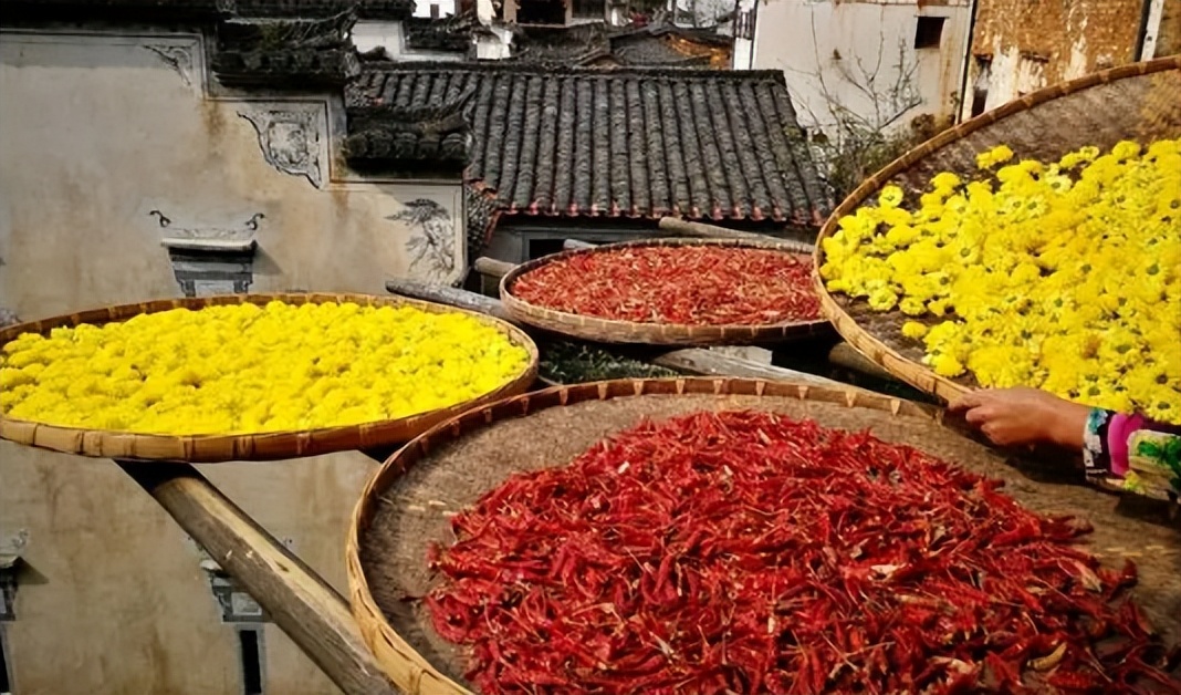 明天立秋，按照老习俗：“咬秋、晒秋、饮秋茶”，清爽迎秋接福运