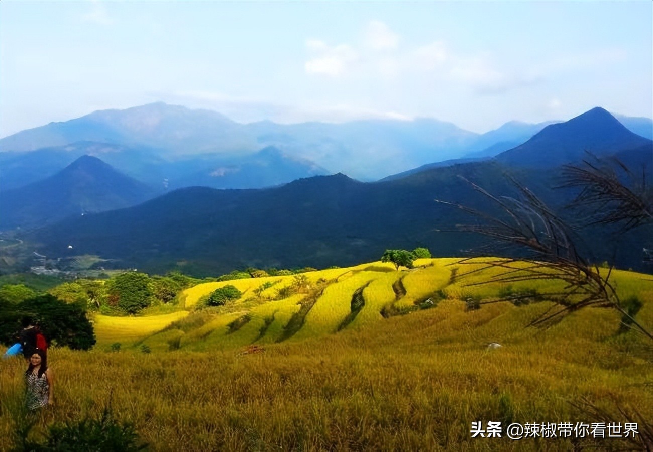 惠州市海岸线,惠州的海岸线
