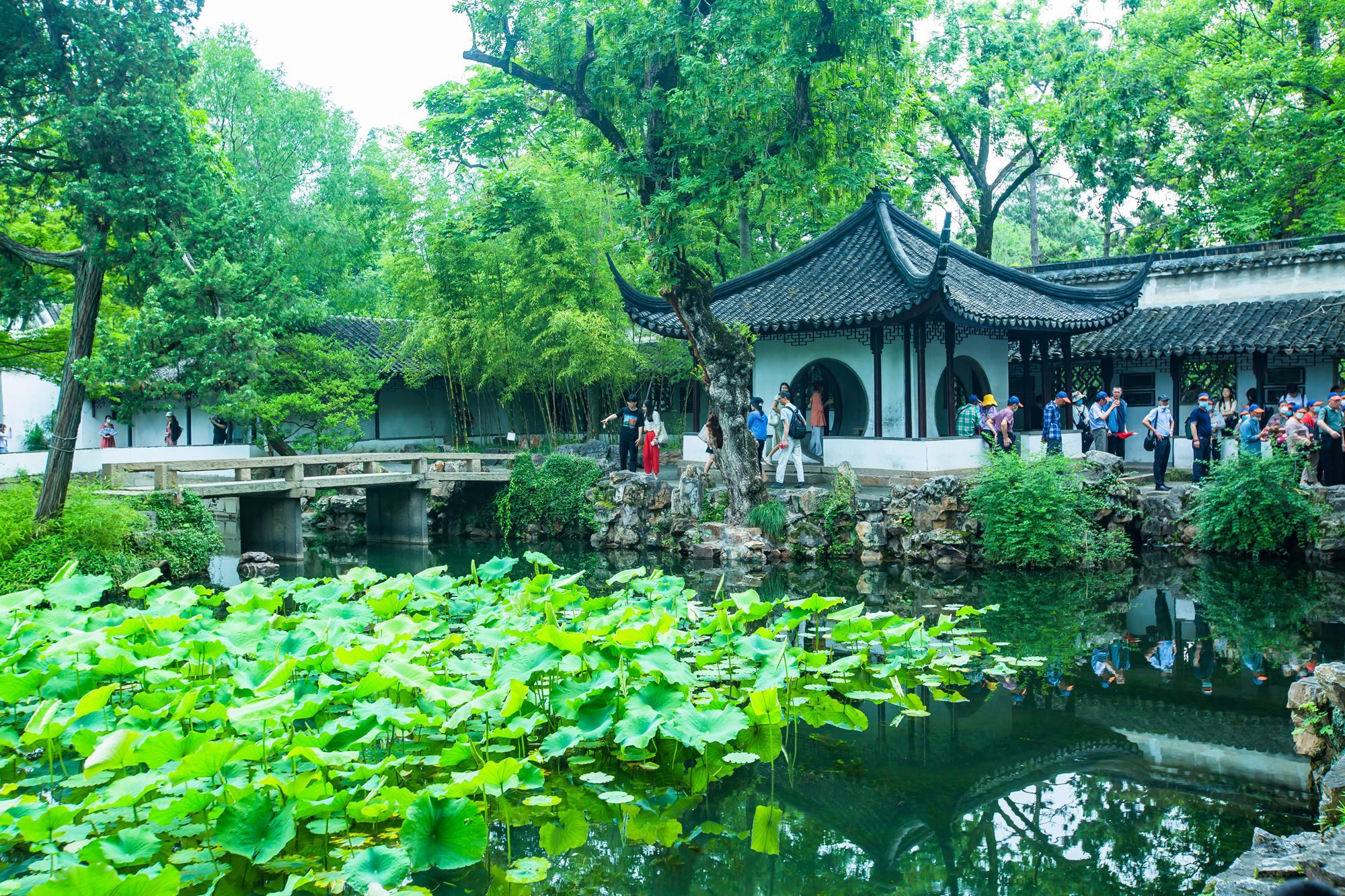 拙政园历届主人,苏州拙政园共经历多少任主人