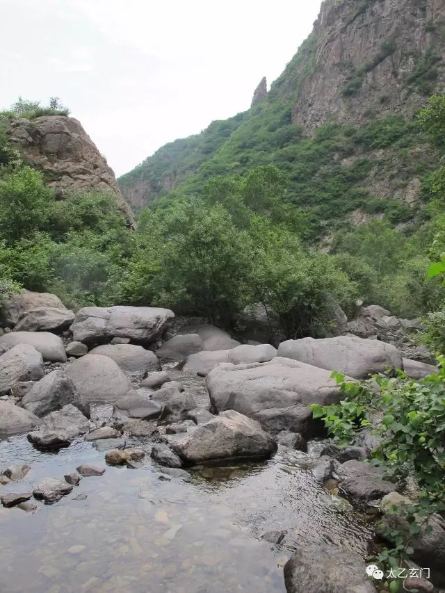 小五台山金莲花坡,小五台金莲花