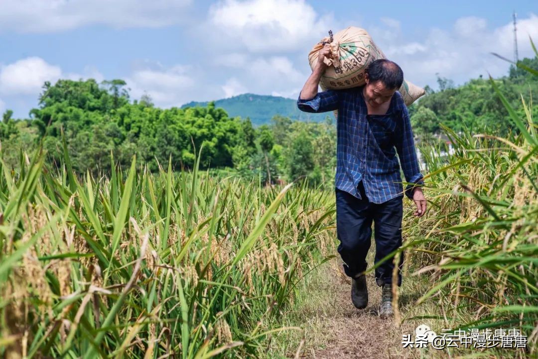 岳池旅游景点大全推荐,行走的美景