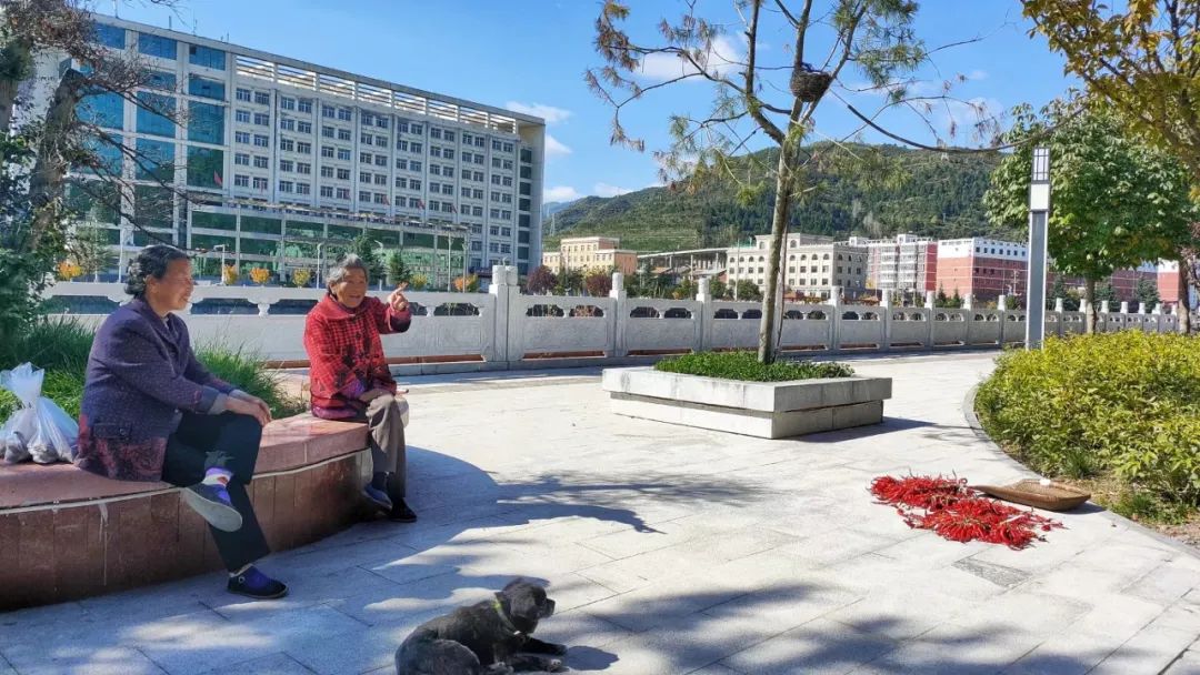 魅力陇南市区,魅力陇南陇上江南