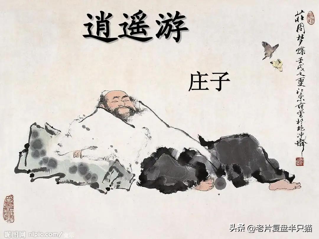 中国国漫大鱼海棠最后独白,国漫大鱼海棠深度解说