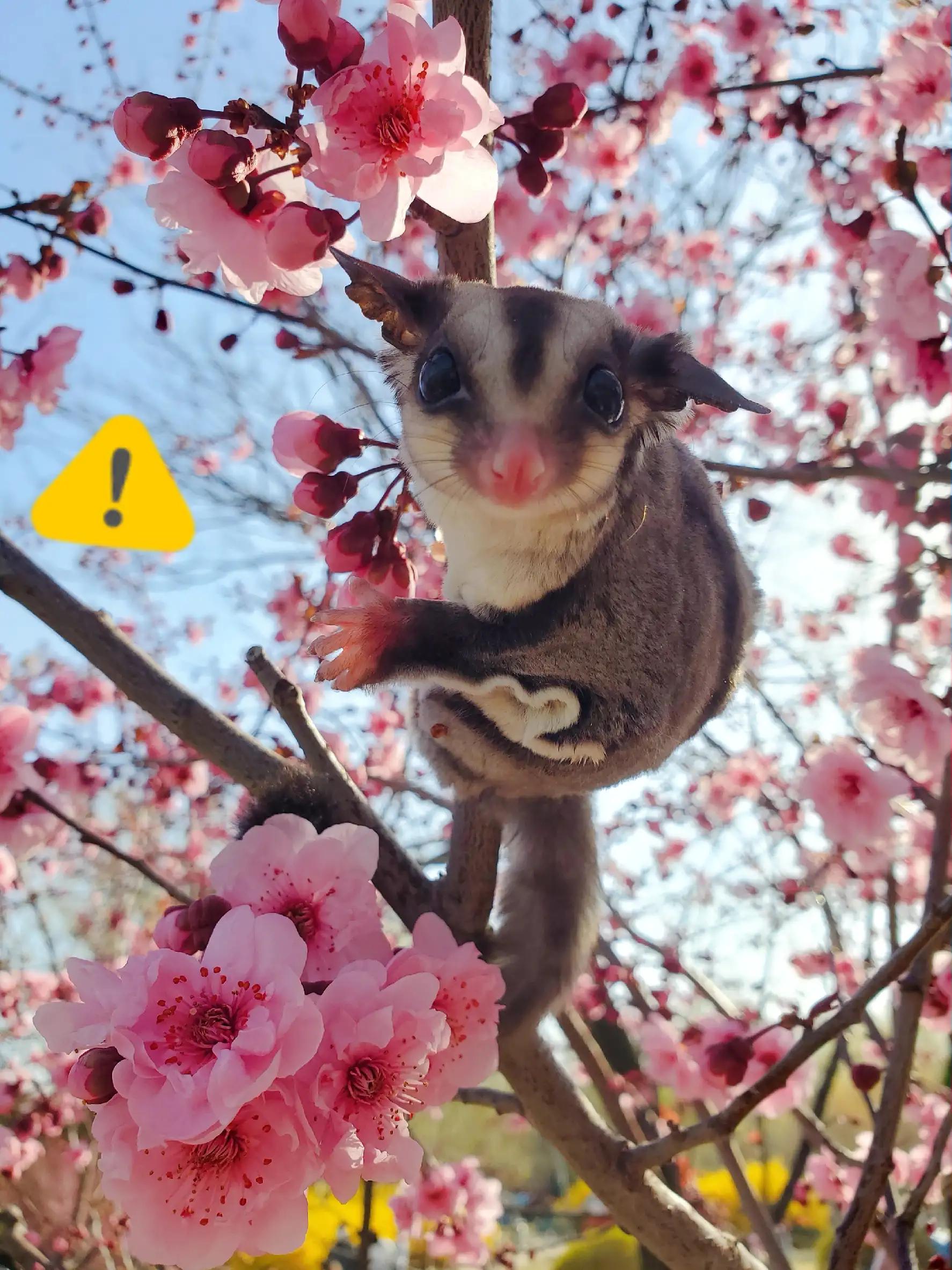 电源按键坏了能开机吗,笔记本电脑键盘开关坏了