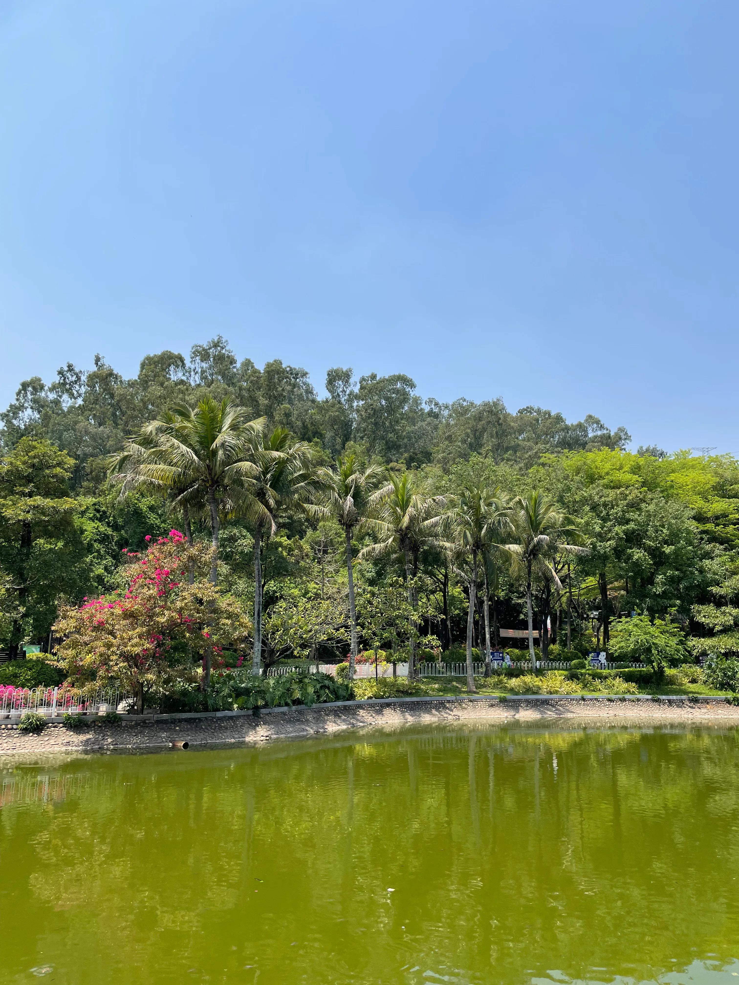 深圳西部城市公园,深圳宝安最大的公园在哪里