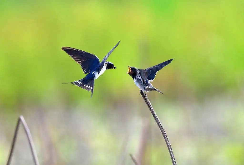 打开那扇充满阳光的窗户,春天开一扇晴窗