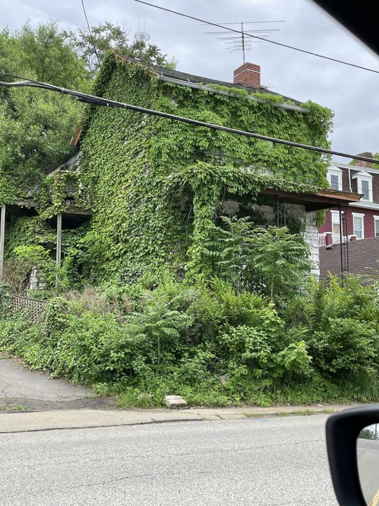 墨西哥农妇用菜刀自行剖腹产,墨西哥产妇照片