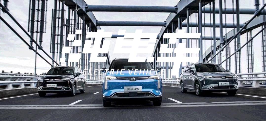 威马创始人共领多少工资,威马创始人12亿年薪引热议