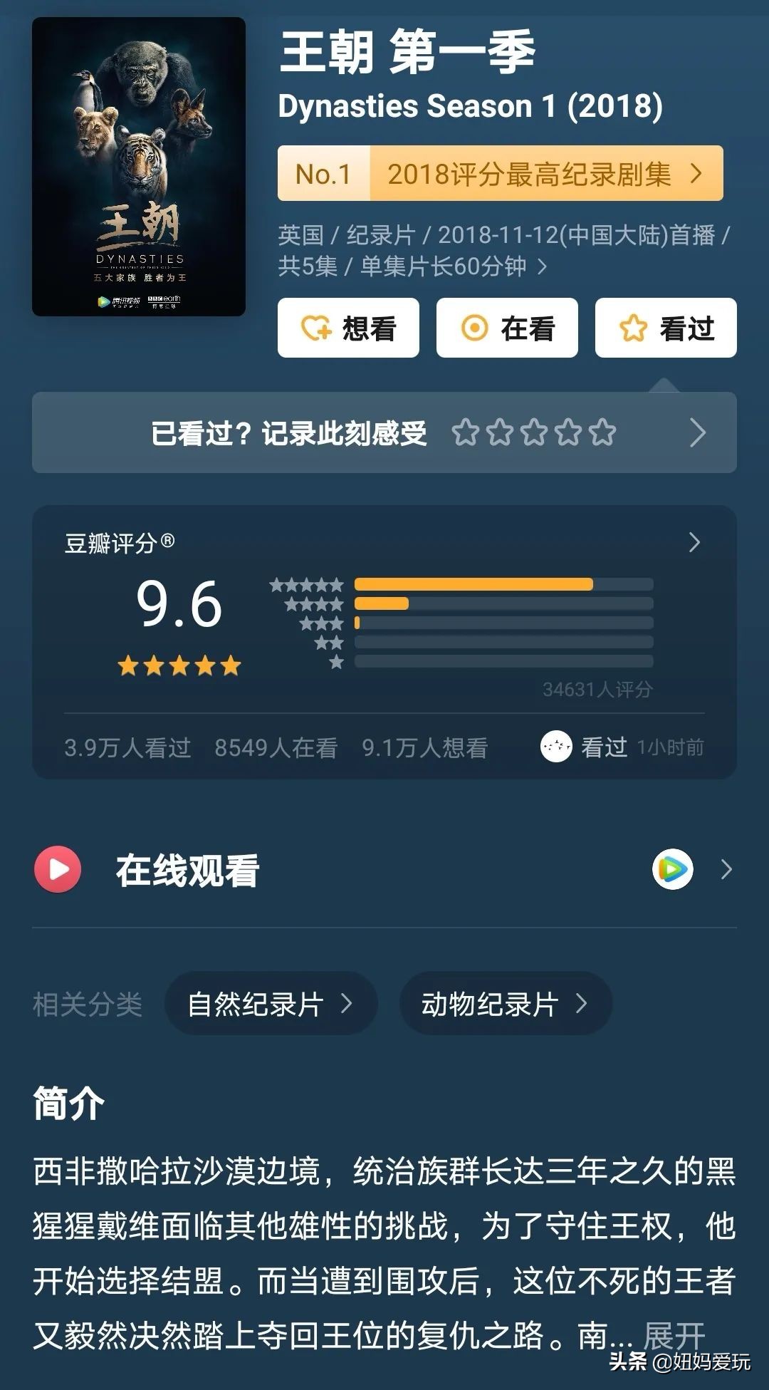 带你真切看人间的宝藏纪录片top10,十一长假适合带孩子看的纪录片